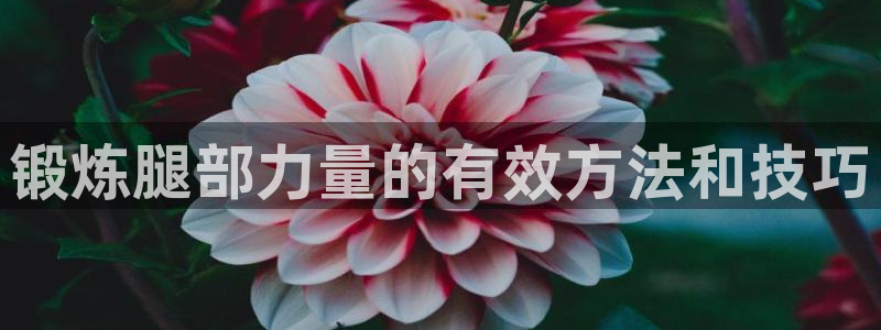 龙8游戏官方进入